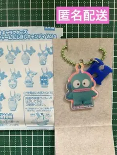 サンリオ　ツインチャーム　にじほしキャンディvol.3 ハンギョドン