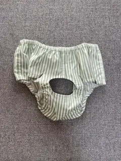 LOVOT専用カボパン(グリーンストライプ)