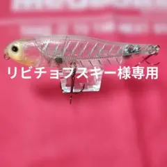 オオツカオリカラ】 ワウ パルヘリオ エリアトラウト - メルカリ