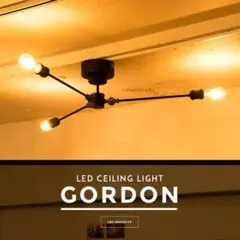 Item thumbnail for item c8a4972e-e8a2-4181-bdb7-ba5978e62e68