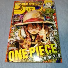 週刊少年ジャンプ 2011年45号 ONE PIECE巻頭カラー - メルカリ