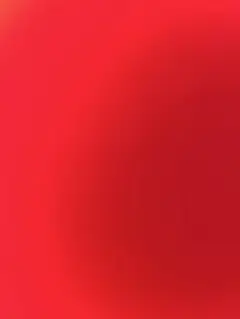 専用
