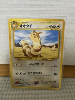 ポケモンカード オオタチ 旧裏