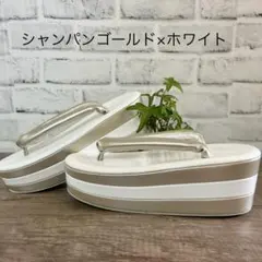 Item thumbnail for item c1a15e1c-ae89-4898-8406-9ba5778075f6