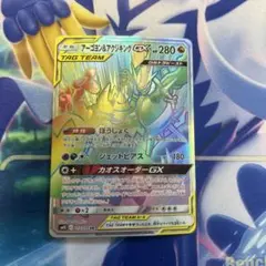 ポケモンカード アーゴヨン&アクジキングGX HR 1枚