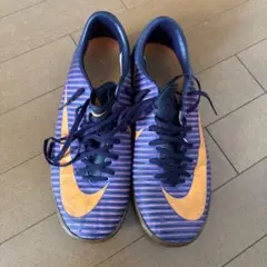 Item thumbnail for item 5bb5b809-a050-42d4-9e13-40dc8c4e2a45