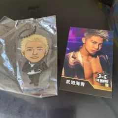 武知海青 クリアチャーム フォトカード セット