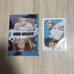 ウィンドブレイカー　梅宮一