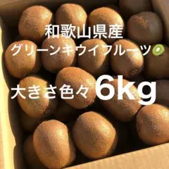ぱるみん様・お得意様ご予約分キュウイフルーツ20Kg