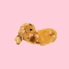 大人気【コッカースパニエル】犬のバンスクリップ/ヘアアクセサリー/ヘアクリップ