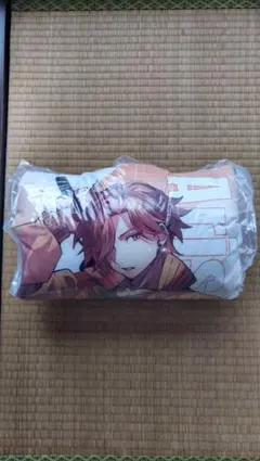 Crazy Raccoon ビッグクッション ありさか GiGO限定 匿名配送