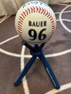 Item thumbnail for item 92c6fdb8-c82b-403b-acff-f71bfbc2b7b8