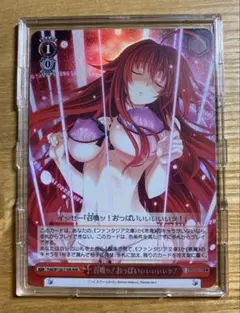 2025年最新】ヴァイスシュヴァルツ 富士見ファンタジア文庫