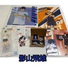 ハイキュー!! 影山飛雄