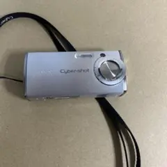 2025年最新】dsc-l1の人気アイテム - メルカリ