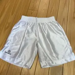 Item thumbnail for item 1009e28c-181e-410a-99fa-2e755a6d379c