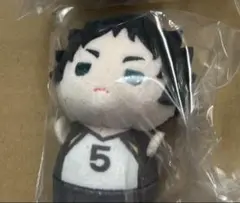 ハイキュー　もちマスたっち　木兎光太郎　赤葦京治　梟谷　特典