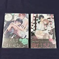 Item thumbnail for item a786a848-11ae-4bfd-8716-3f2f4af008b0