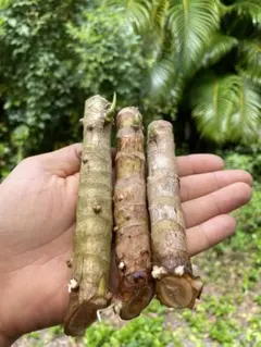 つぶあん様 リクエスト 2点 まとめ商品