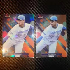 Item thumbnail for item ee79c76d-f520-4559-8042-d65a05628d24