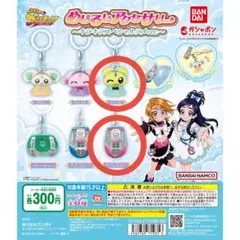ふたりはプリキュア めじるしアクセサリー 〜キラキラスペシャルラメver.〜