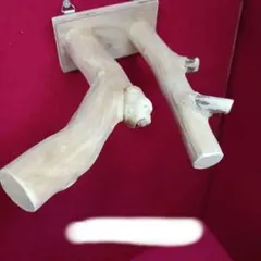 Item thumbnail for item 423213e3-d987-4773-9e3e-3fc3f5c041c9