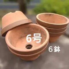 2026年最新】植木鉢 盆栽鉢 山野草鉢の人気アイテム - メルカリ