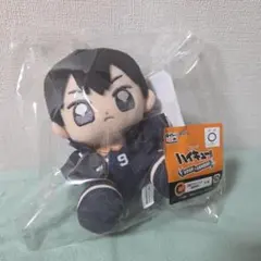 2026年最新】影山飛雄 ぬいぐるみの人気アイテム - メルカリ