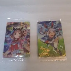 ウマ娘 タマモクロス:ラインクラフトウマ娘 2枚セット