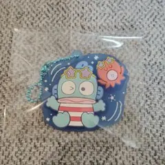 サンリオキャラクターズ ぷっくりラバマスグミ7　ハンギョドン
