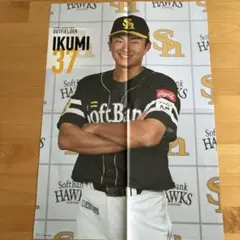 福岡ソフトバンクホークス 生海 ポスター