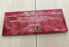 浦和レッズ　ピンバッジ