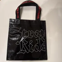 2026年最新】stray kids アプグレの人気アイテム - メルカリ