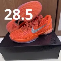 Nike Kobe 6 Protro 