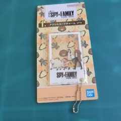 SPYxFAMILY　スパイファミリー　アクリルカードチャーム