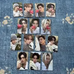 ENHYPEN THE SIN : VANISH トレカ14枚セット