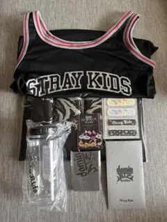 Stray Kids スキズ エコパ アプグレ 特典 グッズ