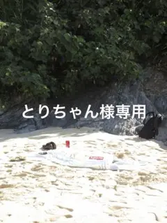 とりちゃん様専用