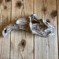 Item thumbnail for item 1dd134a4-3415-4641-b512-9d08b899ac3a