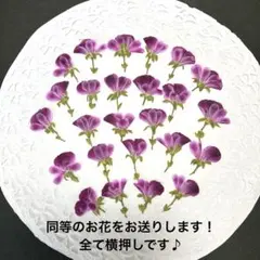 ゆうちん様 リクエスト 2点 まとめ商品