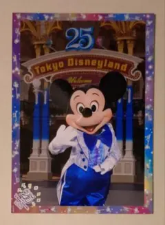 ディズニー⭐︎25周年限定⭐︎クリアファイル Disney - 東京ディズニーランド25周年🎉クリアファイルの通販 by