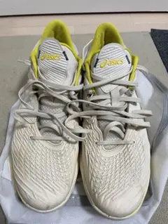 レア】 NIKE ナイキ テニスシューズ ズームヴェイパー9.5 フライニット