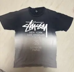 Stussy グラデーション Tシャツ