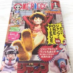 新品未開封 ワンピースマガジン第20号 ルフィプロモ付 1冊