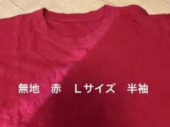 Item thumbnail for item d819e80f-85cd-4156-9426-be5f58789d5f