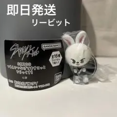 Stray Kids スキズ ガチャ リービット