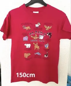 ALASKA ANIMAL FACTS プリント Tシャツ レッドのサムネイル
