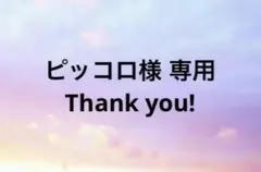 ピッコロ様 リクエスト 2点 まとめ商品