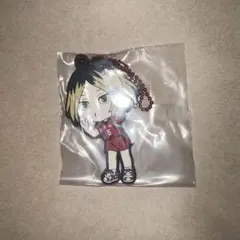 ハイキュー ゴミ捨て場の決戦 一番くじ H賞 孤爪研磨