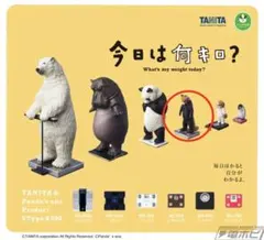 今日は何キロ？レッサーパンダ